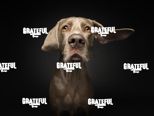 251010 Ady Mario 172