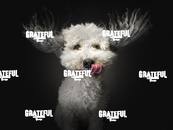 230211 Bartholomaeus Jette 149