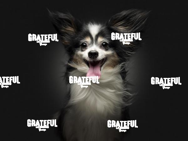 240809 Charlotte Loki 120