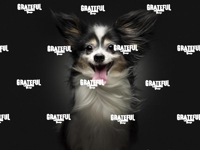 240809 Charlotte Loki 120