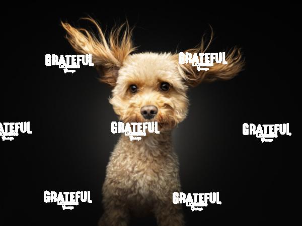 240604 Grotkamp Karl 104