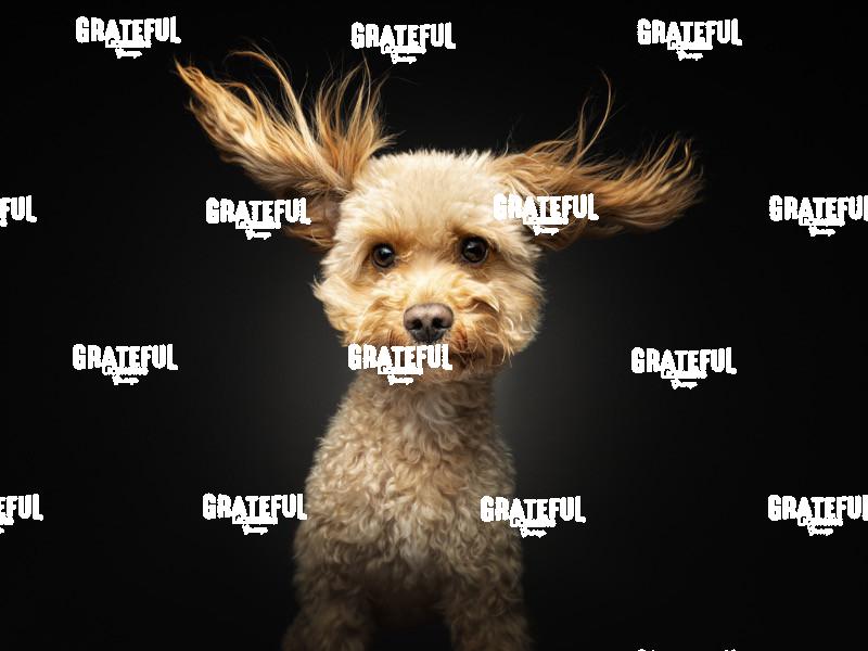 240604 Grotkamp Karl 104