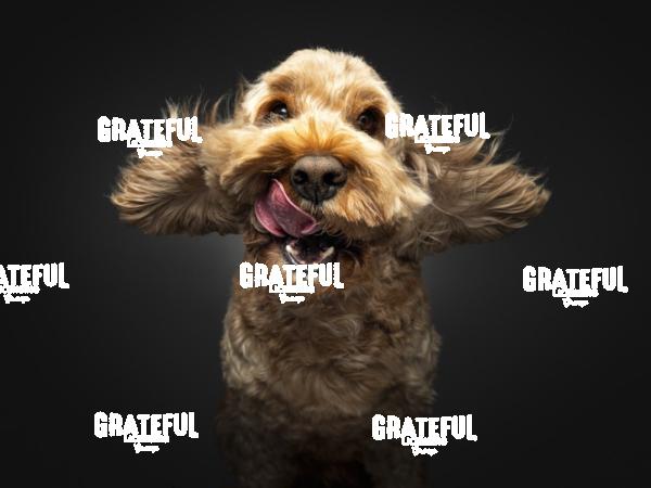 240807 Creedon Rufus 134