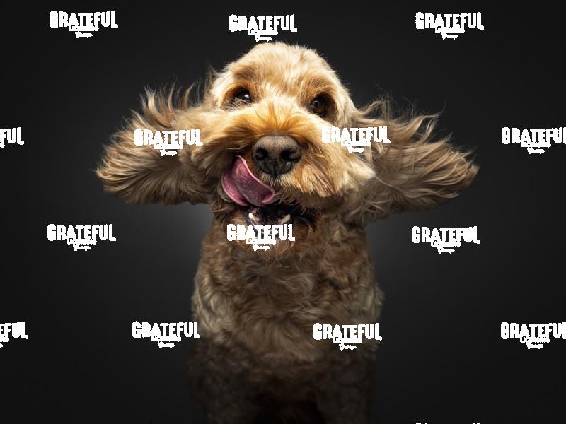 240807 Creedon Rufus 134