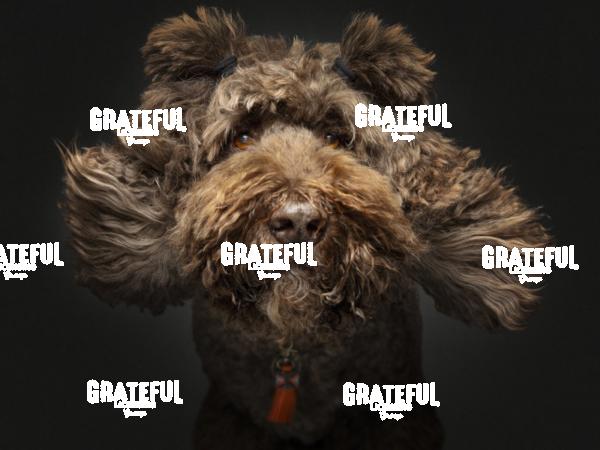 250417 VanDerDonk 156-1