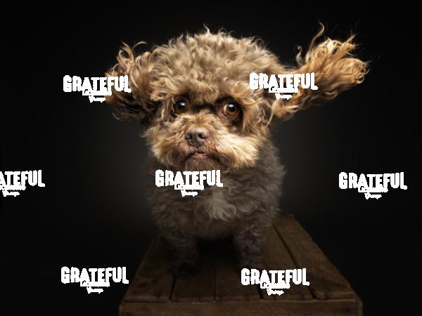 251120 Freiheit Hildi 107