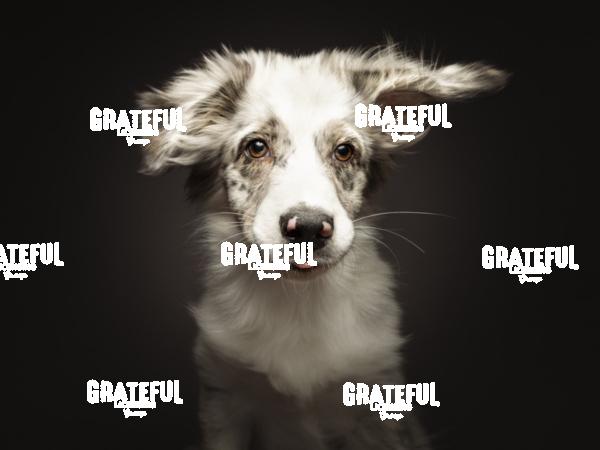 221120 Brenner Chico 51