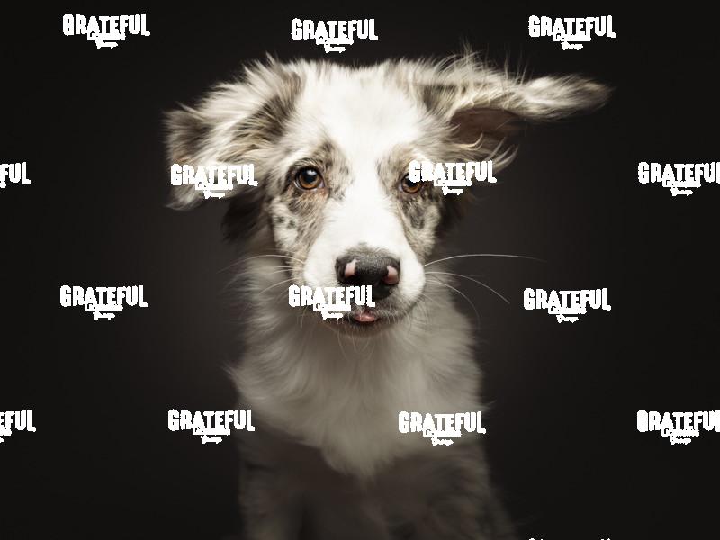 221120 Brenner Chico 51