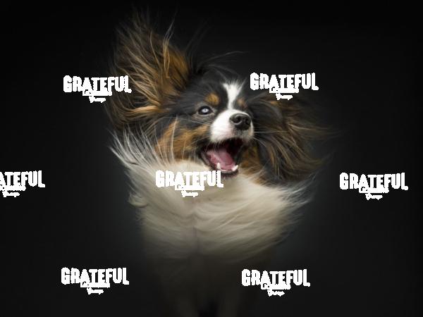 240120 Heidbrink Orie 77