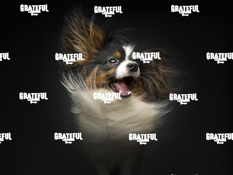 240120 Heidbrink Orie 77