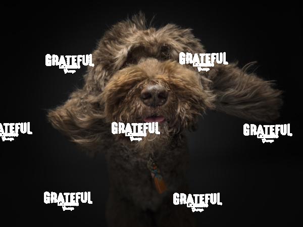 250417 VanDerDonk 111-1