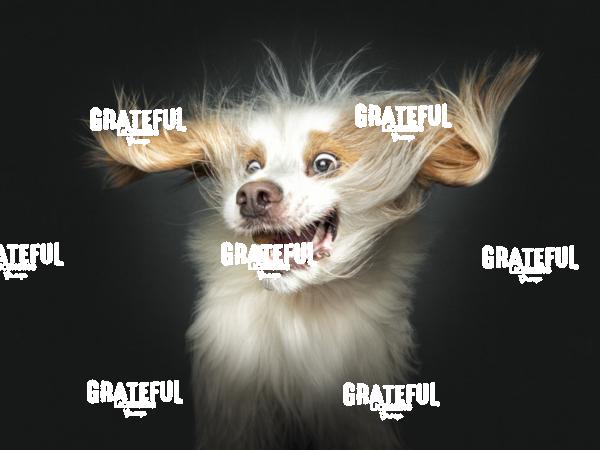 230221 Bullock Nanook Oona Roxy 110