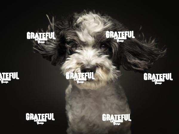 250514 Demuth Coco Picco 141