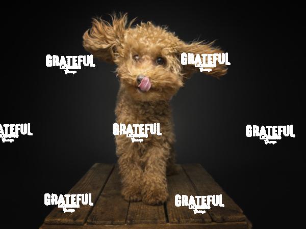 251108 Jazmin Abu 57-1