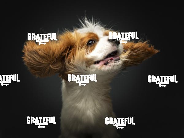 230721 Abramski Majchrzak Weasley 77