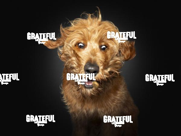 230808 Densham Ted 68