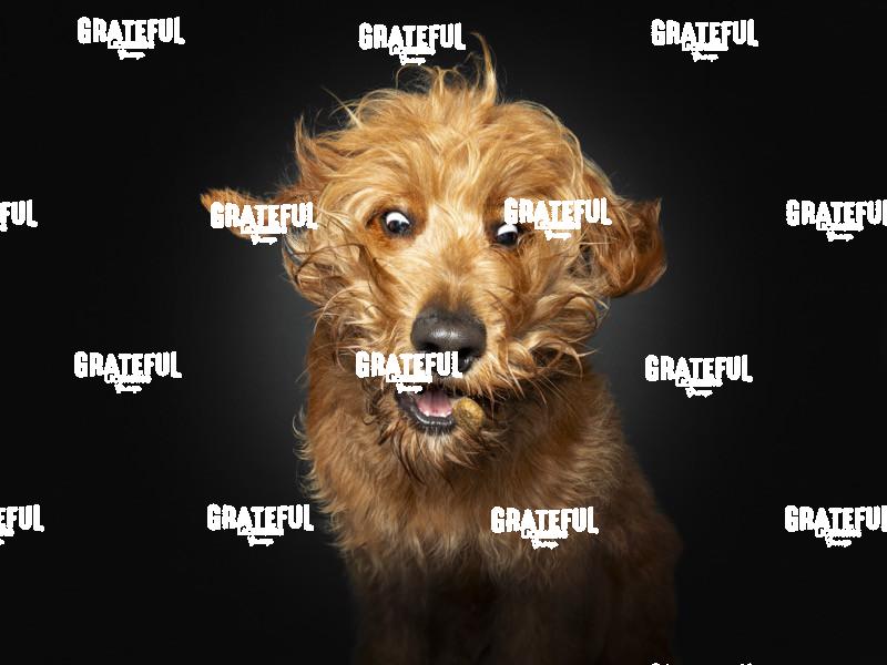 230808 Densham Ted 68