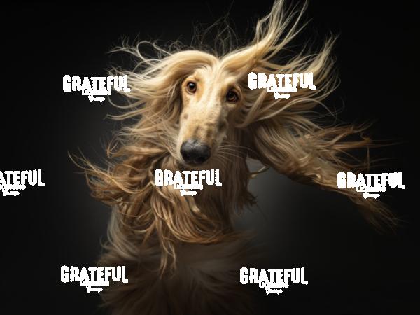 250118 Holtkamp Bailey 79-1