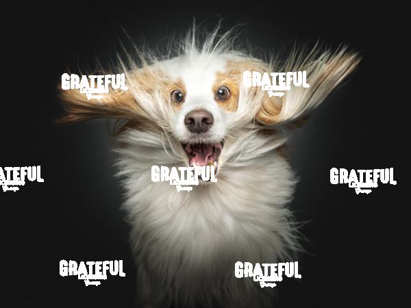 230221 Bullock Nanook Oona Roxy 109