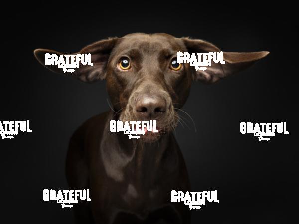 230804 Zeegers Lucy 134