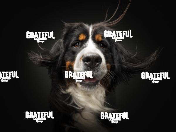 250417 Castille Bubba 121-1