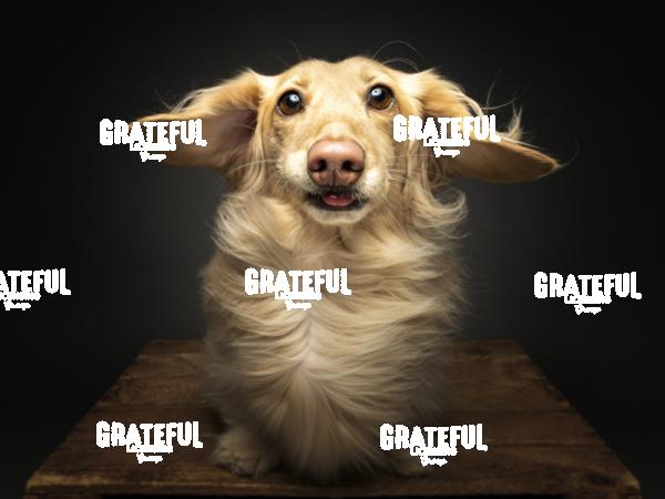 250312 deBruyn Chester Leo 177