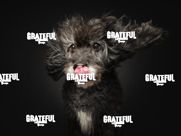 240126 Borger Django 151