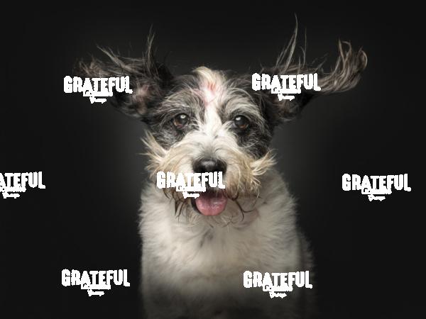 240215 Eveans Giselle 133