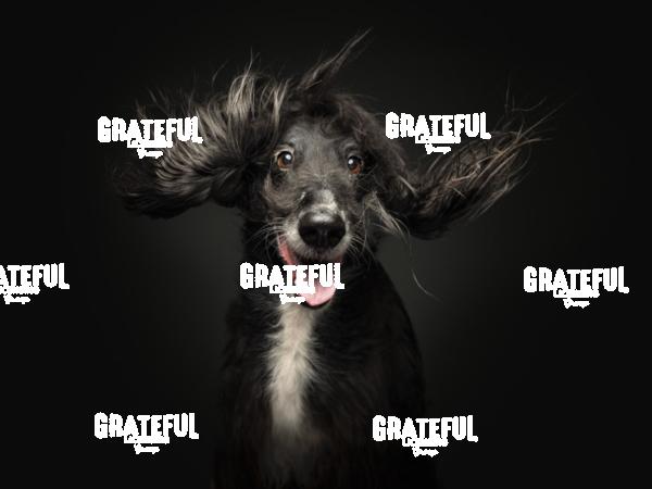 240213 MacLachlan Timur 184