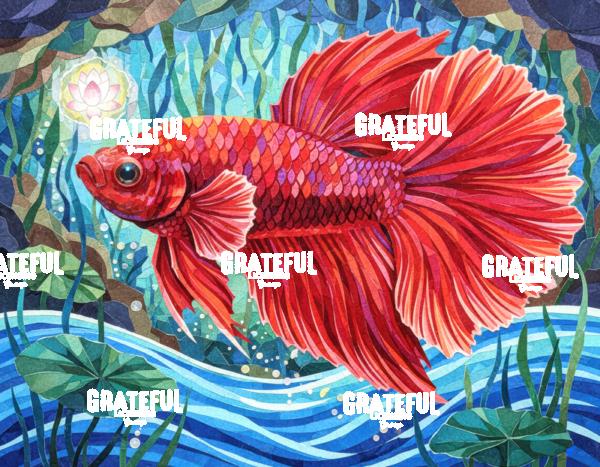 Betta Fish