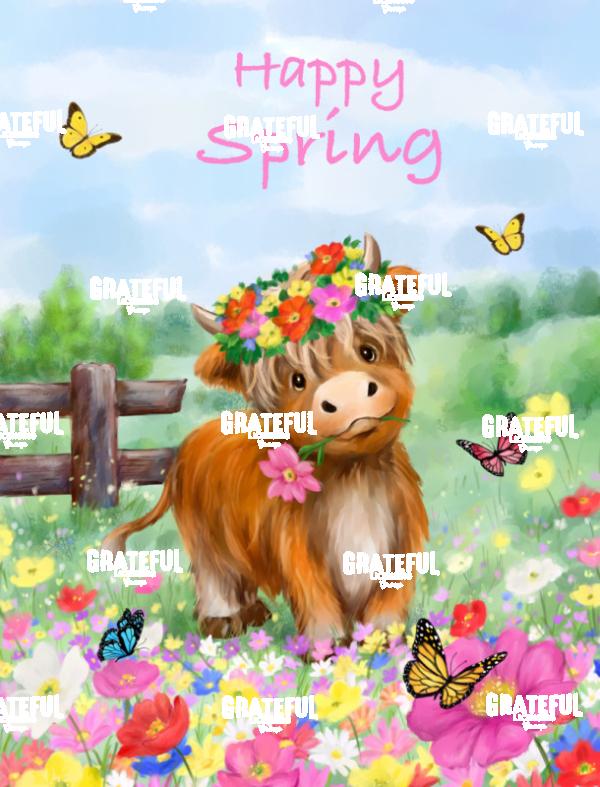 Highland Spring Cow
