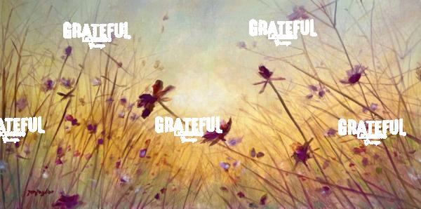 The Dream Beyond - 2026