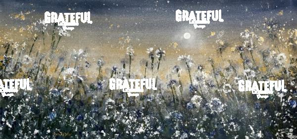 Dandelion Dream - 2026