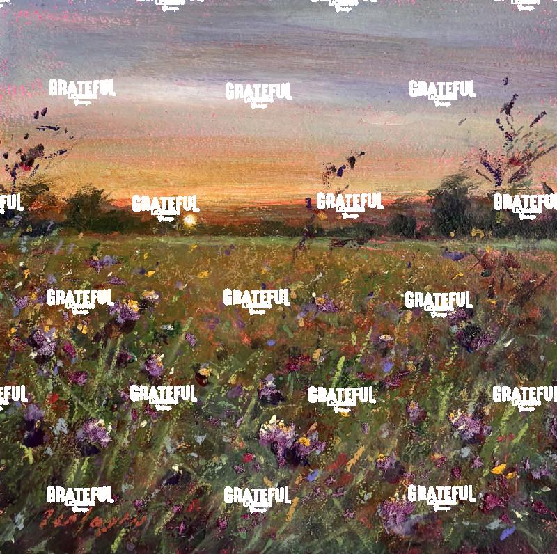 Evening Dream 2026