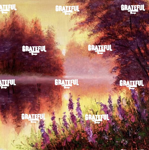 Sunlight Awakening - 2026