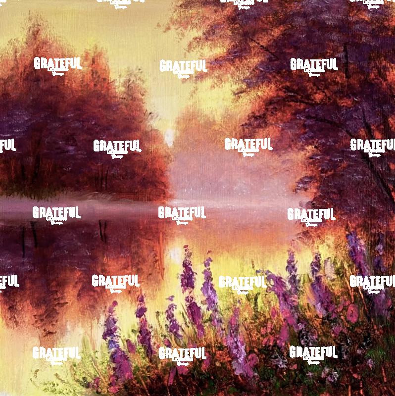 Sunlight Awakening - 2026