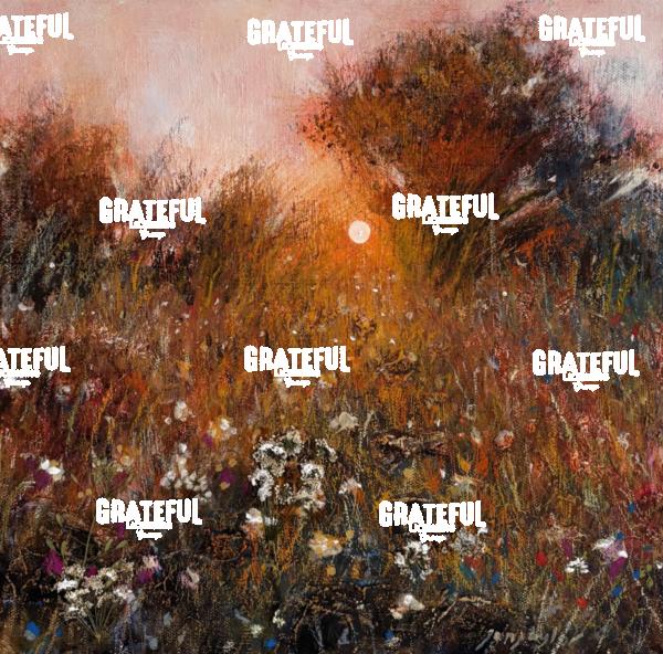 The Evening Path - 2026