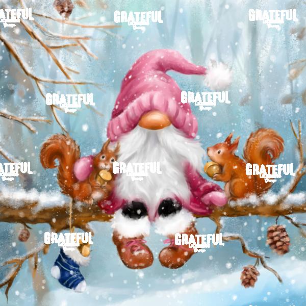 Gnome with Squirrels