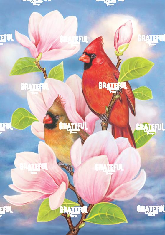 Cardinal and Magnolias