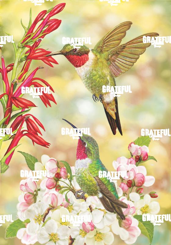 Ruby Throated Hummingbirds