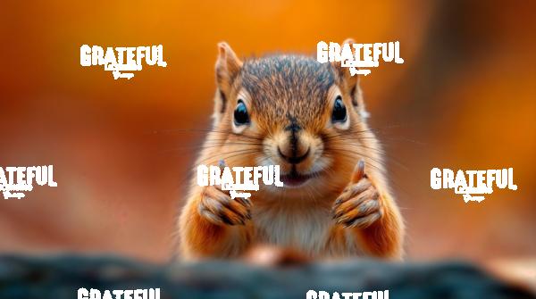 baby squirrel giving the thumbs up