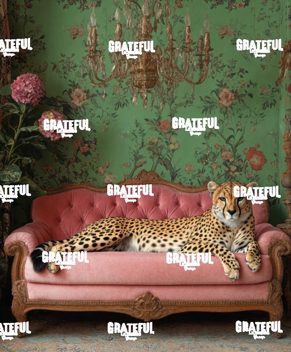 cheetah chilling on a sofa