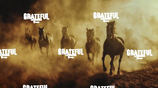 group of wild horses running in the dirt