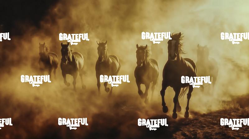 group of wild horses running in the dirt