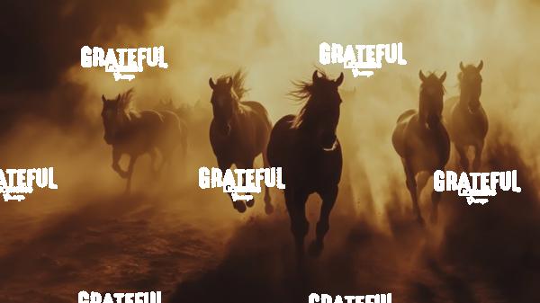 group of wild horses running in the dirt 2