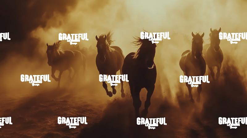 group of wild horses running in the dirt 2