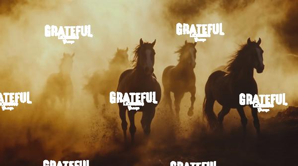 group of wild horses running in the dirt 3