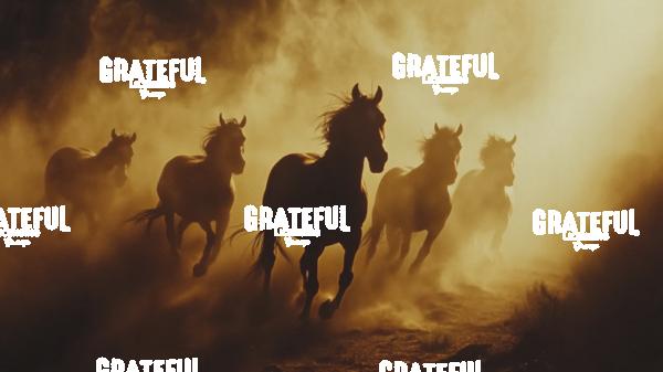 group of wild horses running in the dirt 4