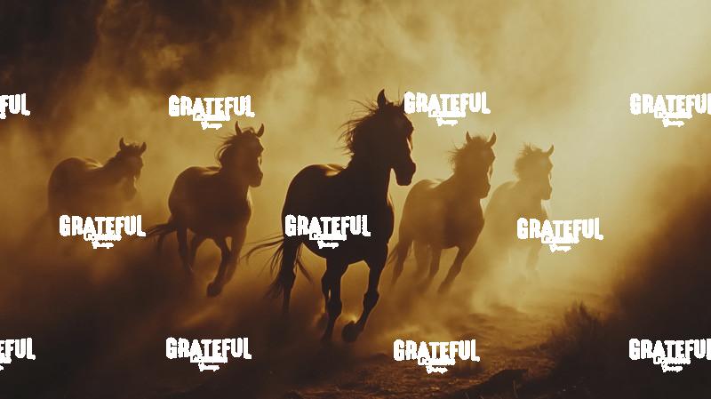 group of wild horses running in the dirt 4