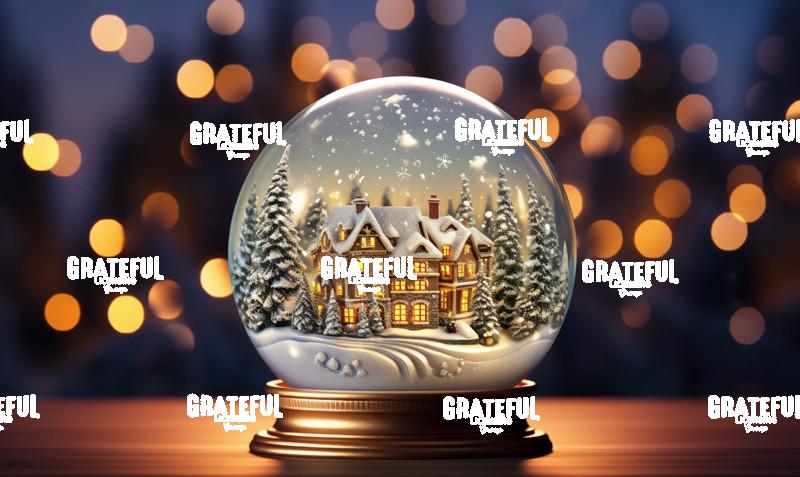 xmas globe 2